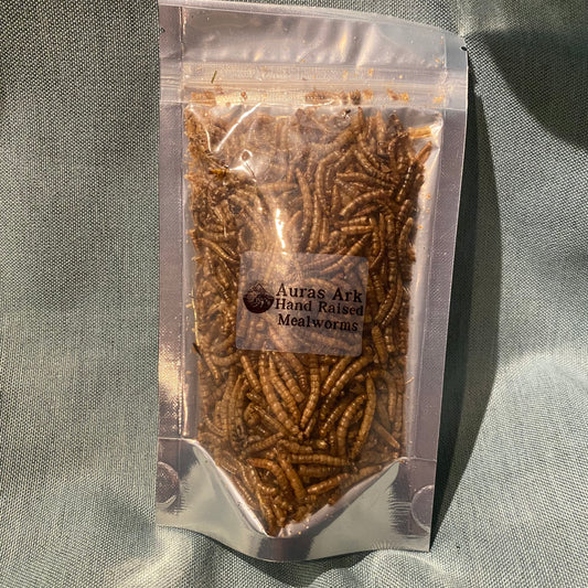 Hand Raised Mealworms - for Hermit Crabs